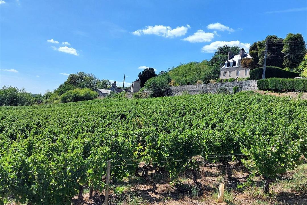 Apartment Le Balzac / Colbert - Bord De Loire